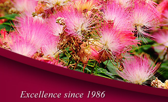 Le Jardin Florist :: Silk Flowers & Artificial Plants :: North Palm Beach Florist since 1986
