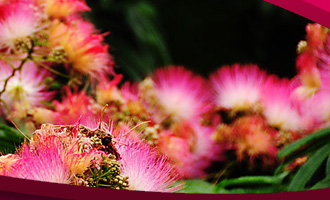 Le Jardin Florist :: Silk Flowers & Artificial Plants :: North Palm Beach Florist since 1986