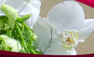 White & Green Flower Arrangements by Le Jardin Florist