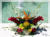 Tropical Splash Flower Arrangement